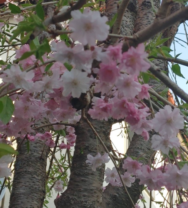 忘れられない余韻❤️