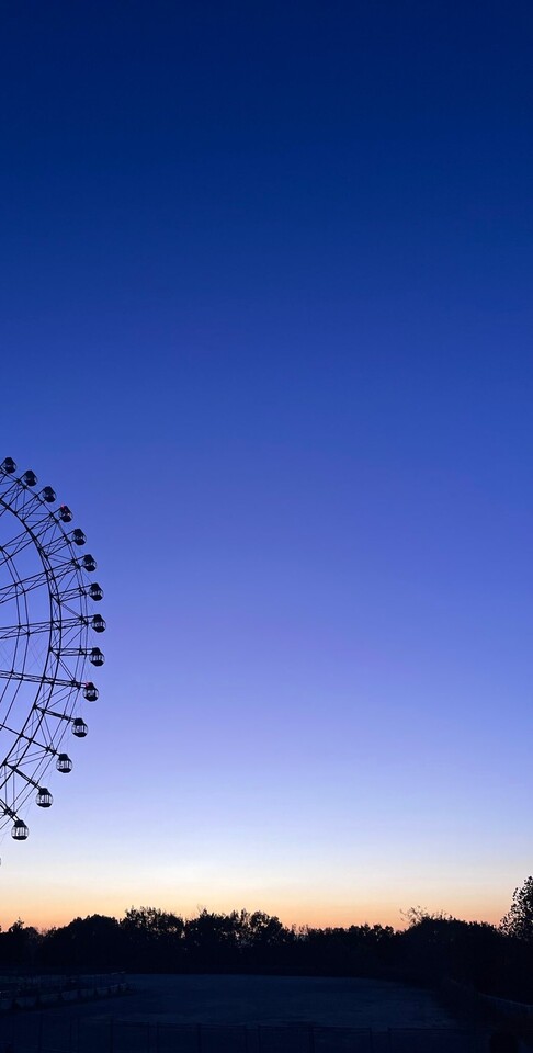 おはようございます☺️｜写メ日記｜りえこ｜池袋 人妻デリヘル 池袋で熟女の風俗　マダムいやーん