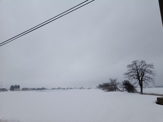 おつかれさまです😊｜写メ日記｜りえこ｜池袋 人妻デリヘル 池袋で熟女の風俗　マダムいやーん