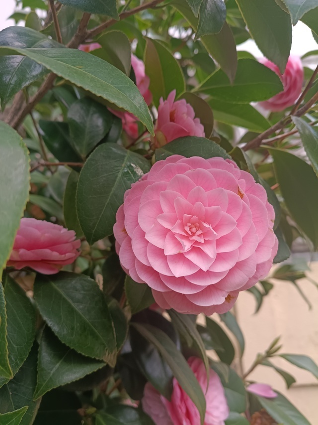 本日はありがとうこざいました😌｜写メ日記｜りえこ｜池袋 人妻デリヘル 池袋で熟女の風俗　マダムいやーん