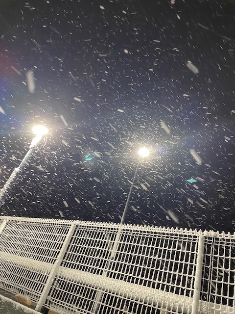 ナンテコッタ｜写メ日記｜さつき｜池袋 人妻デリヘル 池袋で熟女の風俗　マダムいやーん