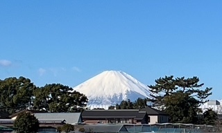 今年もよろしくお願いします｜写メ日記｜さきこ｜池袋 人妻デリヘル 池袋で熟女の風俗　マダムいやーん