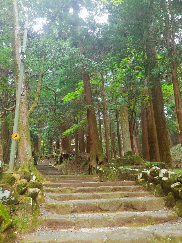 初訪｜写メ日記｜はな｜池袋 人妻デリヘル 池袋で熟女の風俗　マダムいやーん