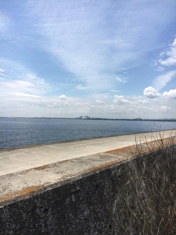 今年もありがとうございました｜写メ日記｜竹内｜錦糸町・小岩・葛西 人妻デリヘル 人妻最後の砦小岩店