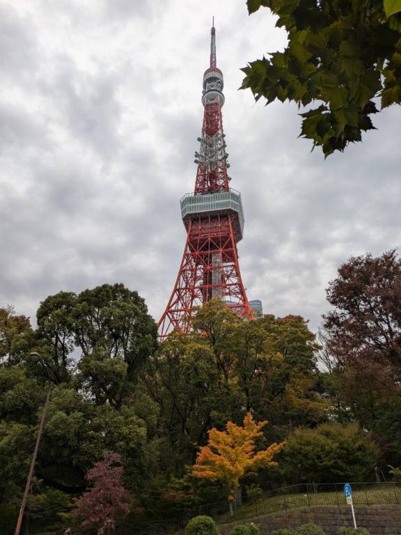 久しぶりの投稿｜写メ日記｜水谷｜錦糸町・小岩・葛西 人妻デリヘル 人妻最後の砦小岩店