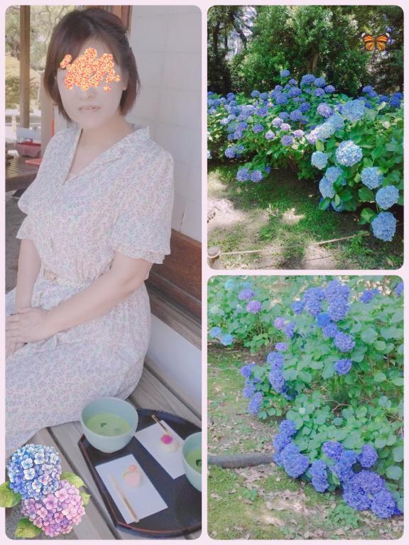 昨日は六義園に行ってきました。｜写メ日記｜夏川｜錦糸町・小岩・葛西 人妻デリヘル 人妻最後の砦小岩店