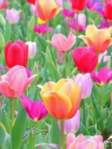 2001ホテル　H様　お礼です。｜写メ日記｜夏川｜錦糸町・小岩・葛西 人妻デリヘル 人妻最後の砦小岩店