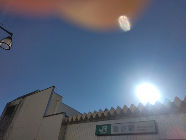 おそようございます