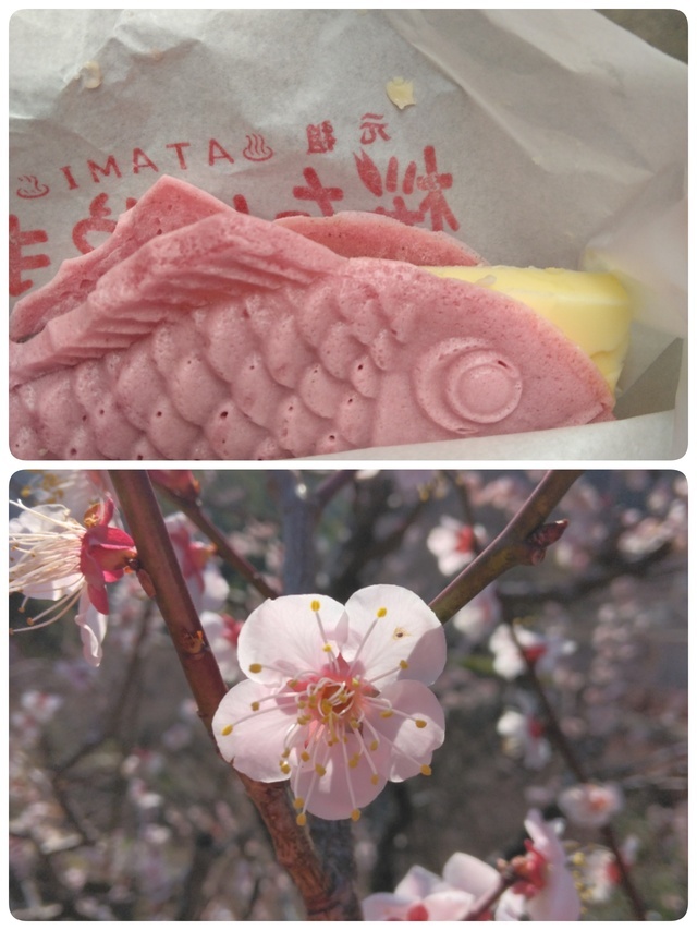 楽しかったですよー