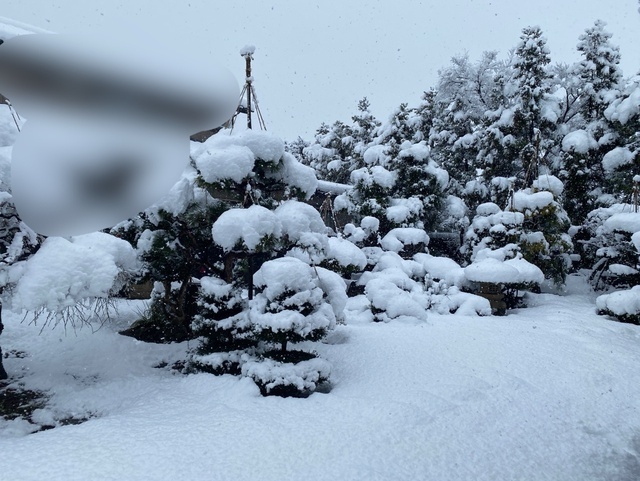 ん？もう2026だと？