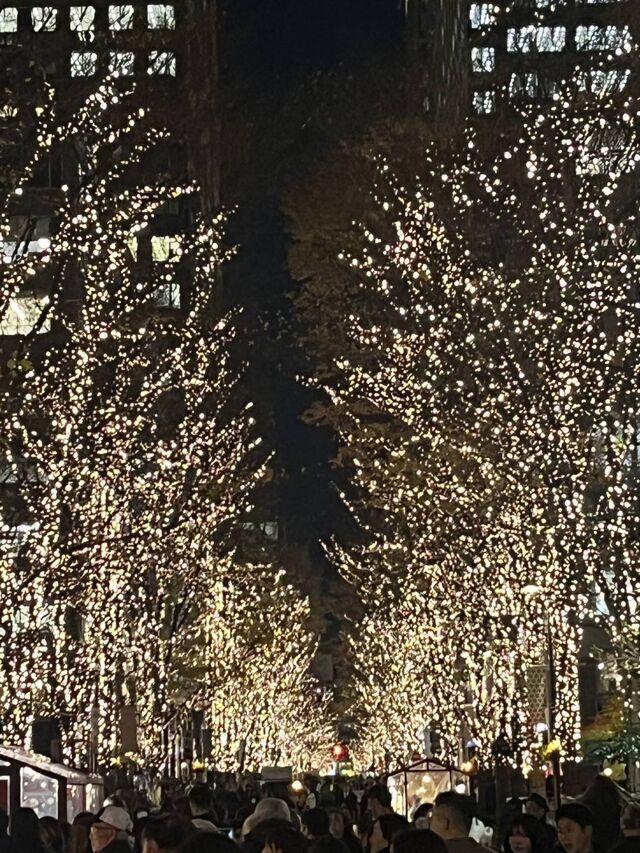 本日よりクリスマスイベント