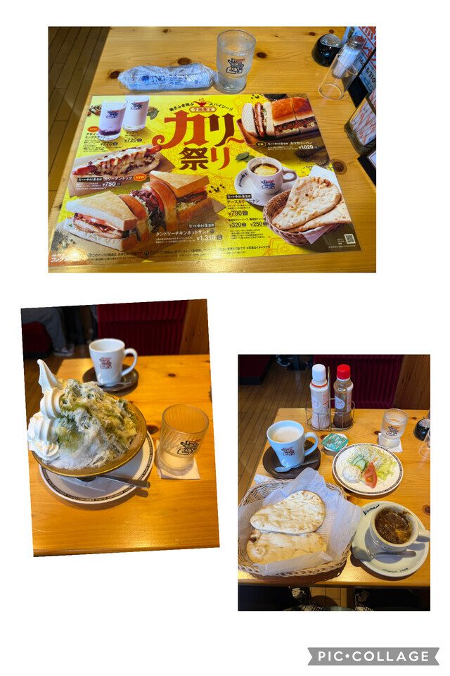 カリー祭りヽ(´▽｀)/♪