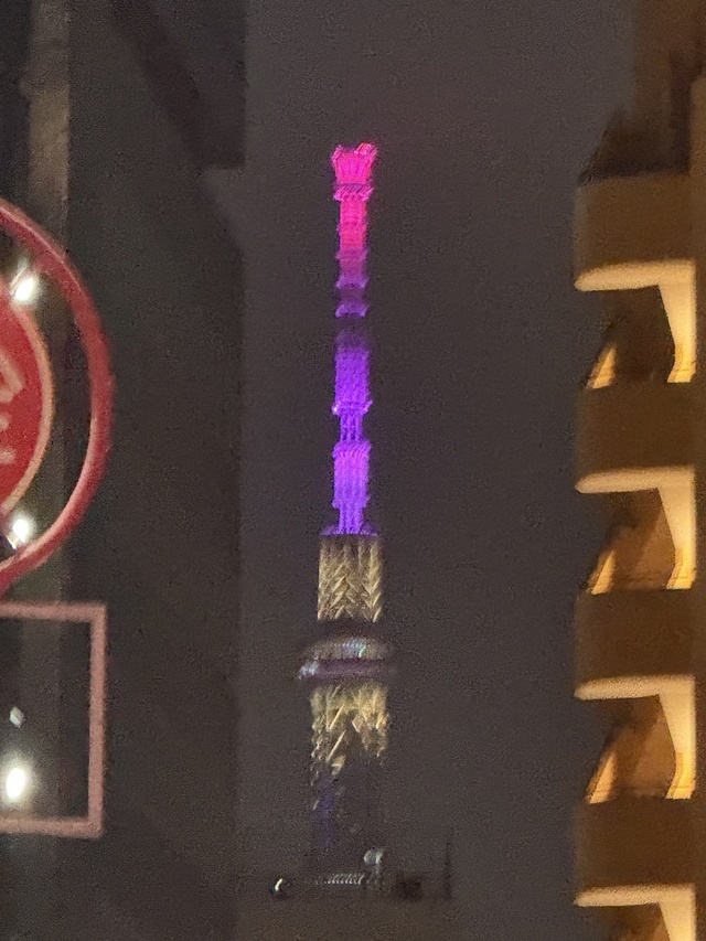 お散歩〜o(^▽^)o