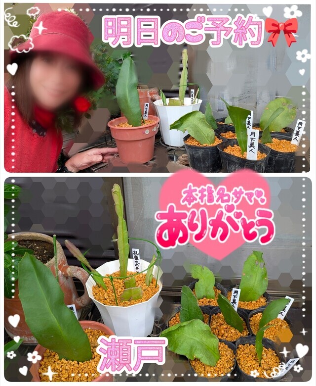 明日 10/17(金)💐ご予約🎀ありがとうございますぅ🥹💖｜写メ日記｜瀬戸｜中野・吉祥寺 人妻デリヘル 竹内マッサージ