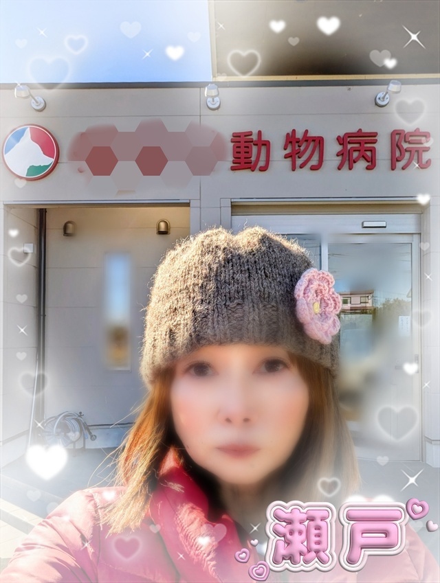 🏥愛犬が入院しました🐶