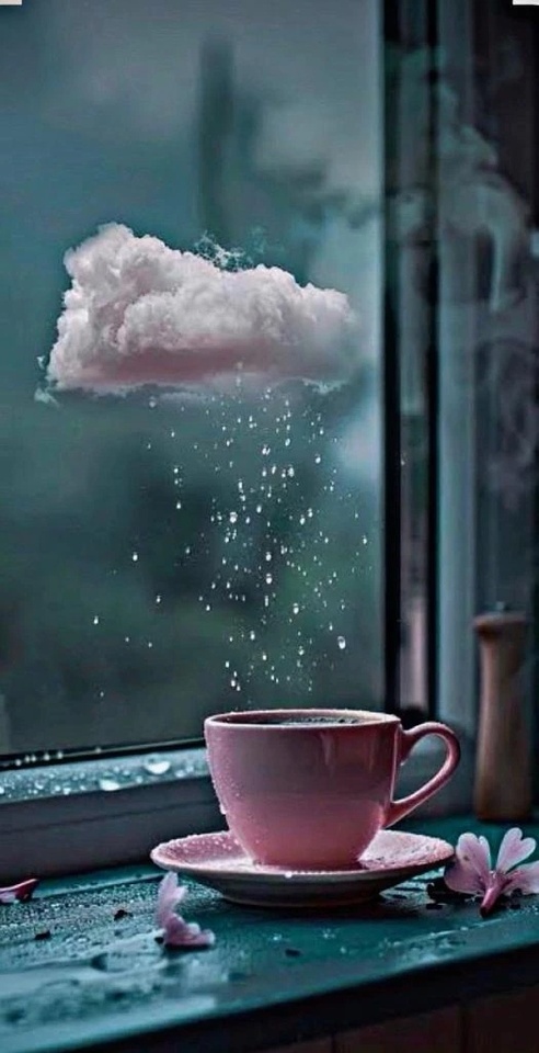 “ Ame to Taiyo “ 🌦️