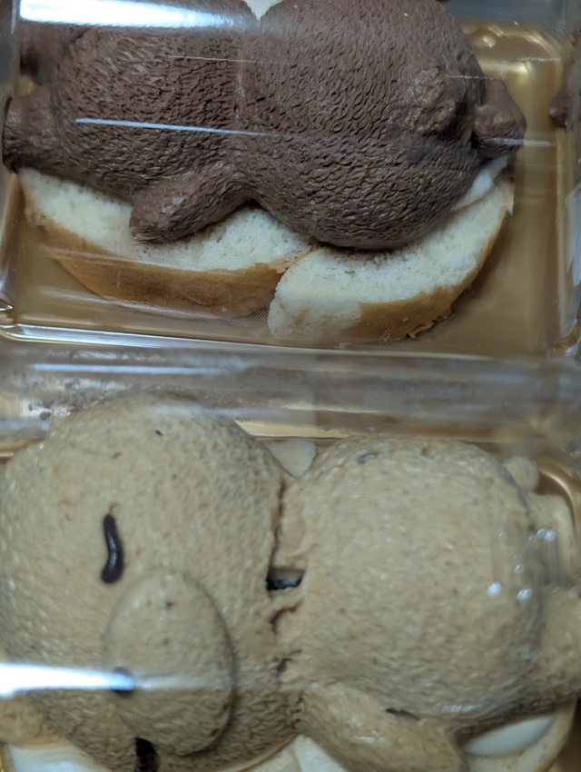 こんにちは〜🍰｜写メ日記｜つくし｜鶯谷 一般デリヘル 三毛猫