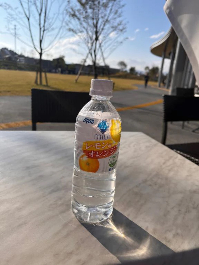 🍀公園で、色々ふり返りです😌