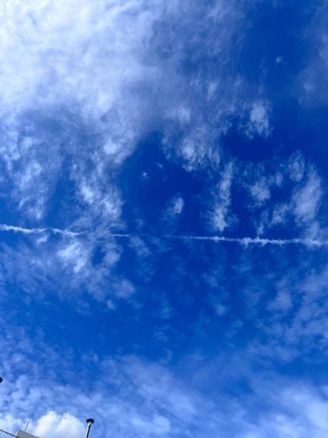 涼しくなってきましたね！｜写メ日記｜えりな｜立川・八王子・三多摩 人妻デリヘル 完熟ばなな八王子