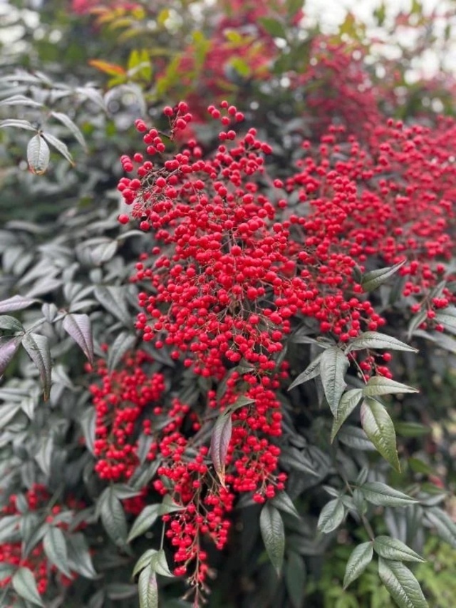 かなりご無沙汰してますが｜写メ日記｜えりな｜立川・八王子・三多摩 人妻デリヘル 完熟ばなな八王子