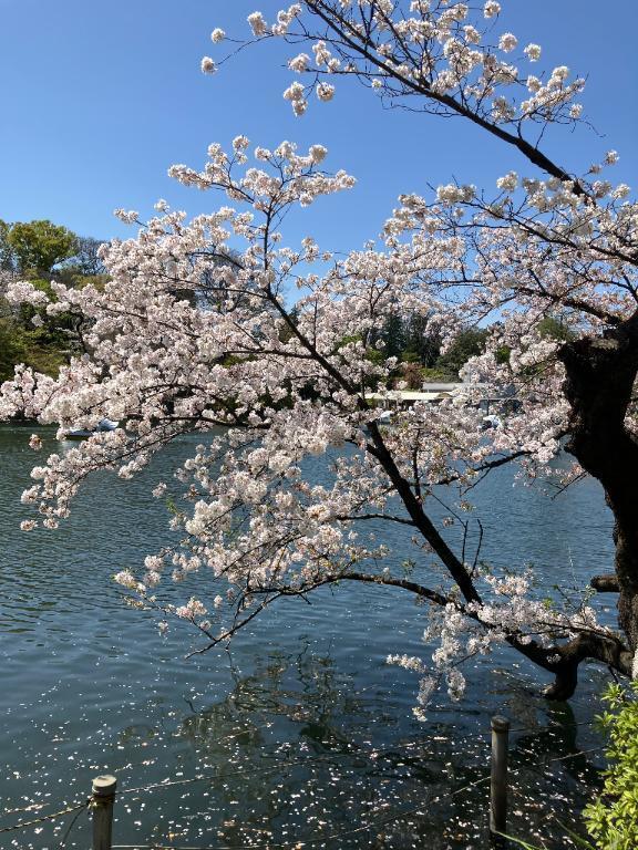 ☀️こんにちは〜☀️