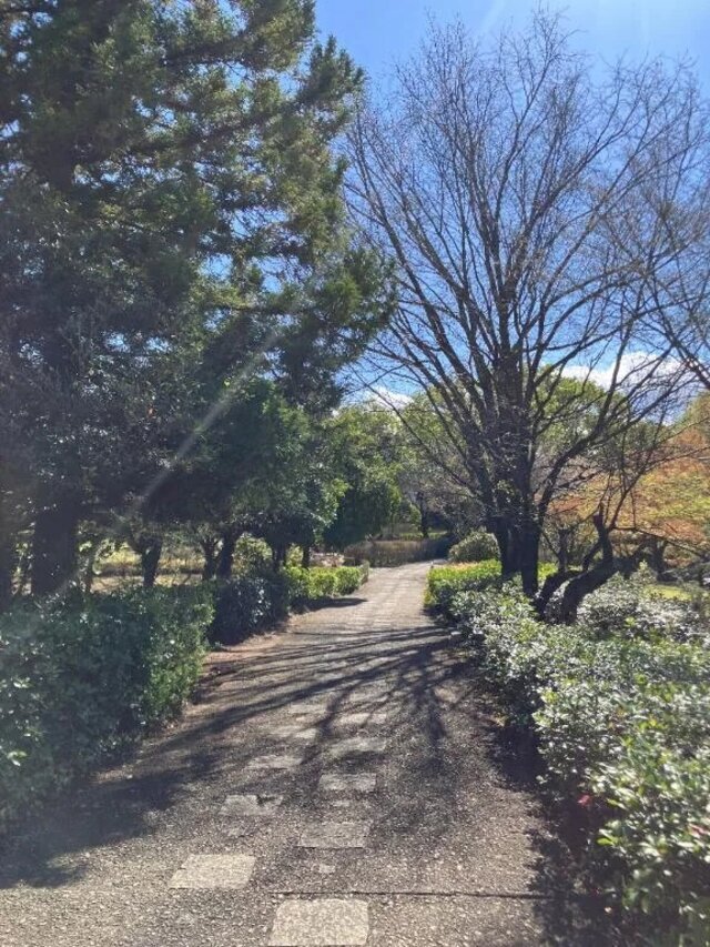 完熟ばなな八王子くみです｜写メ日記｜くみ｜立川・八王子・三多摩 人妻デリヘル 完熟ばなな八王子