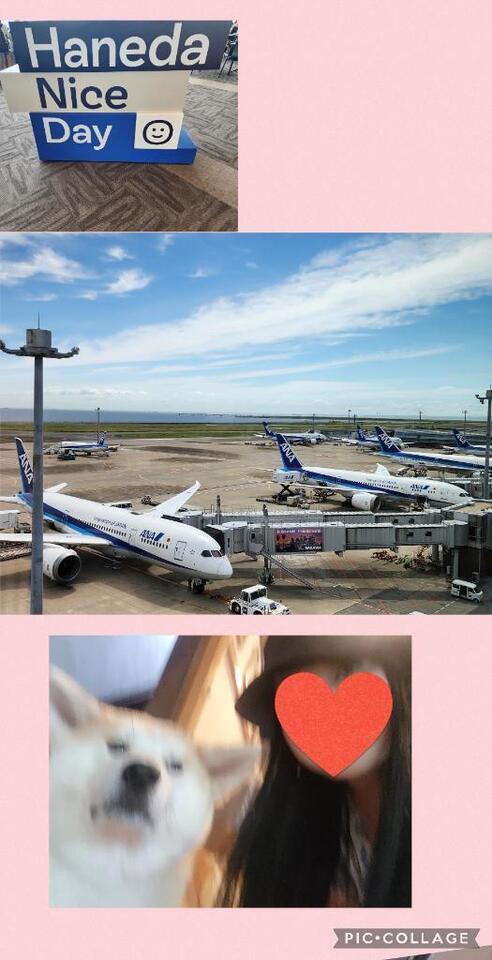 飛行機に乗って😊｜写メ日記｜こころ｜立川・八王子・三多摩 人妻デリヘル 完熟ばなな八王子