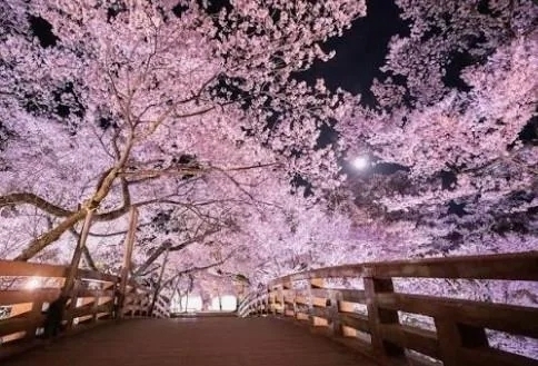 ありがとうございました,(*^^*)｜写メ日記｜こころ｜立川・八王子・三多摩 人妻デリヘル 完熟ばなな八王子