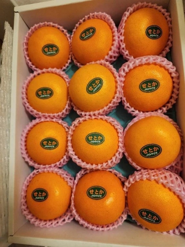 ありがとうございました🎵｜写メ日記｜こころ｜立川・八王子・三多摩 人妻デリヘル 完熟ばなな八王子