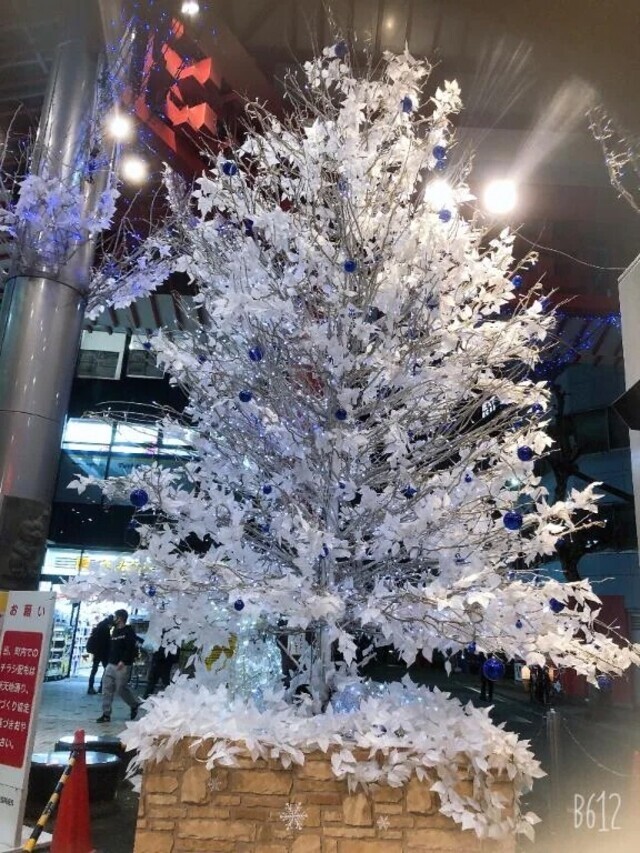 出勤してます(*^◯^*)雪降って来ちゃった｜写メ日記｜なつ｜立川・八王子・三多摩 人妻デリヘル 完熟ばなな八王子