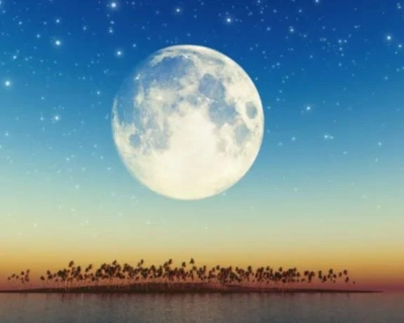 今年最後の…｜写メ日記｜ゆうき｜立川・八王子・三多摩 人妻デリヘル 完熟ばなな八王子