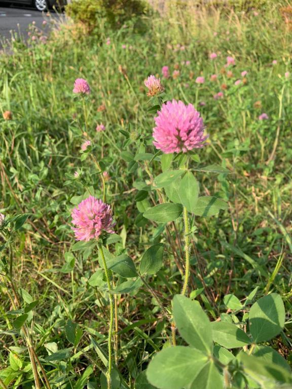 一日お疲れ様です🤗｜写メ日記｜いろは｜立川・八王子・三多摩 人妻デリヘル 完熟ばなな八王子