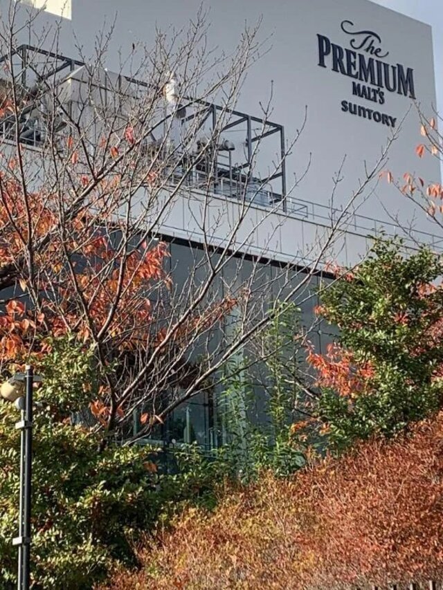 こんにちは☀️｜写メ日記｜いろは｜立川・八王子・三多摩 人妻デリヘル 完熟ばなな八王子