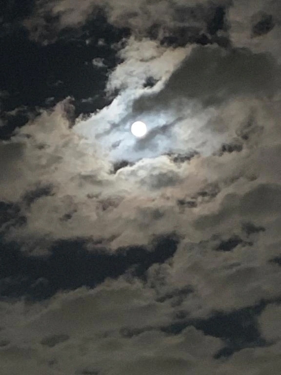 こんにちは🍙｜写メ日記｜いろは｜立川・八王子・三多摩 人妻デリヘル 完熟ばなな八王子