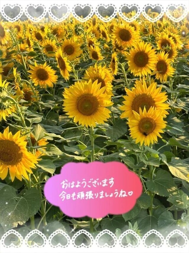 おはようございます☆