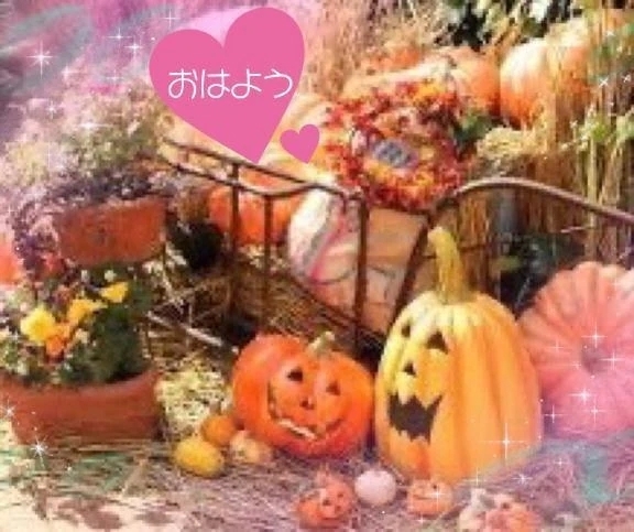 久しぶり♡｜写メ日記｜ひな｜立川・八王子・三多摩 人妻デリヘル 完熟ばなな八王子