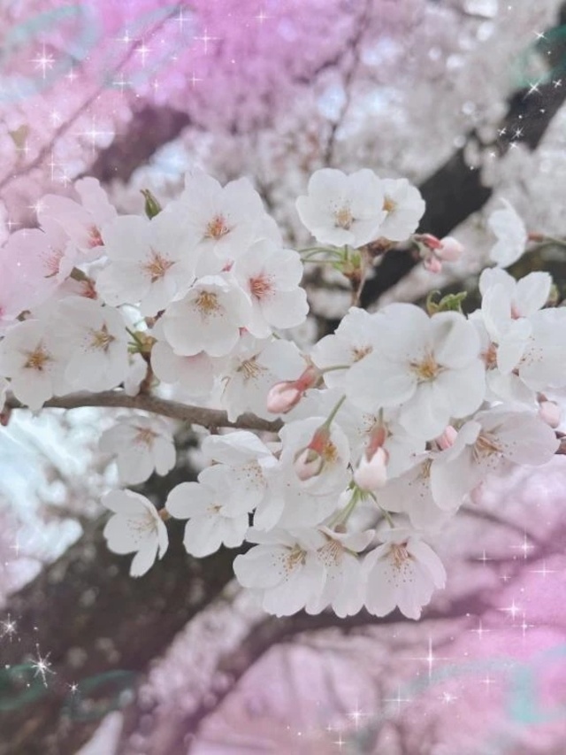 おはようございます☆｜写メ日記｜ひな｜立川・八王子・三多摩 人妻デリヘル 完熟ばなな八王子