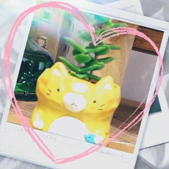 こんにちは。｜写メ日記｜りの｜立川・八王子・三多摩 人妻デリヘル 完熟ばなな八王子