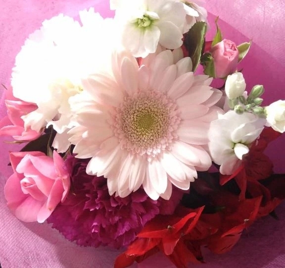 子どもの頃✨️｜写メ日記｜りの｜立川・八王子・三多摩 人妻デリヘル 完熟ばなな八王子