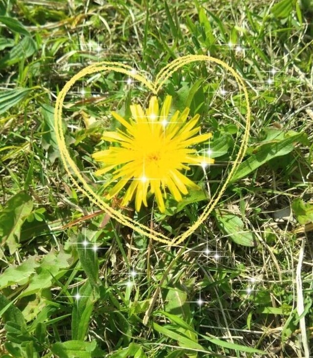 初夏の陽気ですね🌸｜写メ日記｜りの｜立川・八王子・三多摩 人妻デリヘル 完熟ばなな八王子