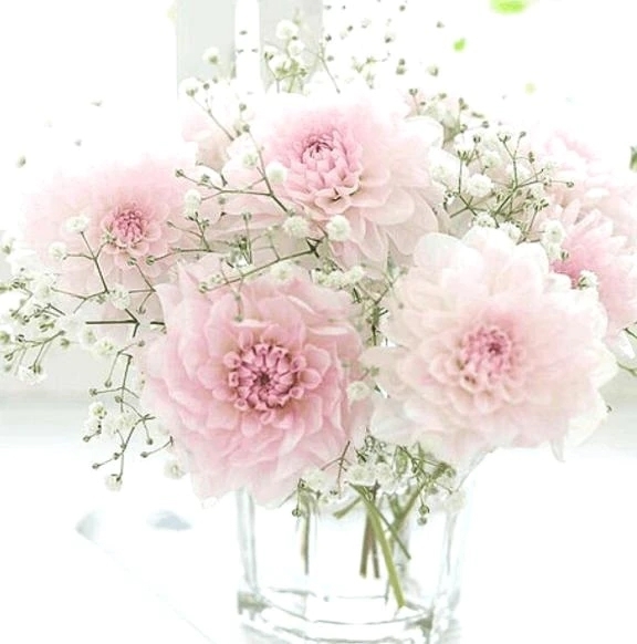 🌷出勤要請（リクエスト）ありがとうございます🌷｜写メ日記｜りの｜立川・八王子・三多摩 人妻デリヘル 完熟ばなな八王子