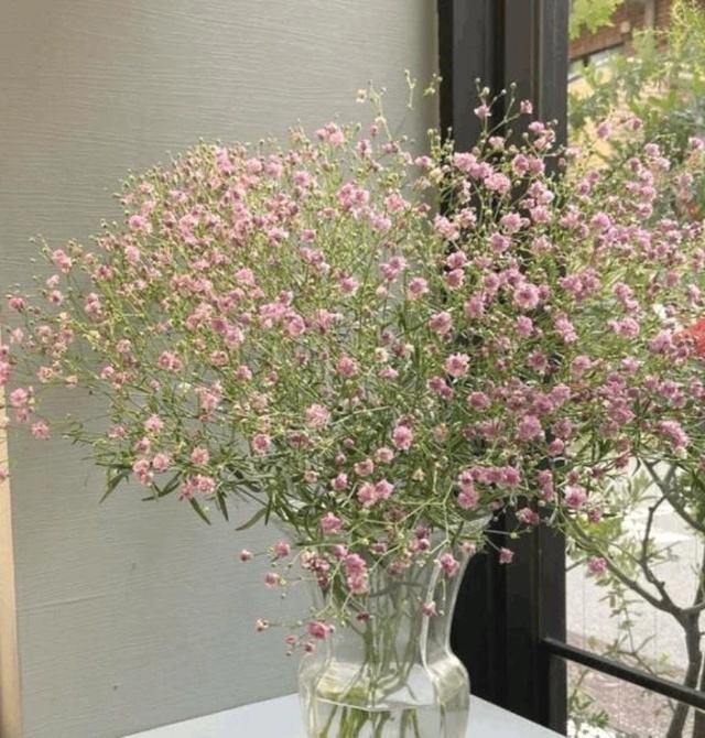 🌷気がつけば一年の折り返しですね🌷｜写メ日記｜りの｜立川・八王子・三多摩 人妻デリヘル 完熟ばなな八王子