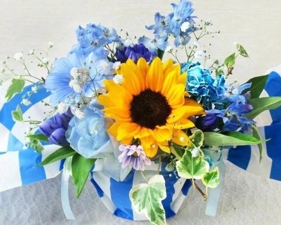 🌻きのうはありがとうございました🌻