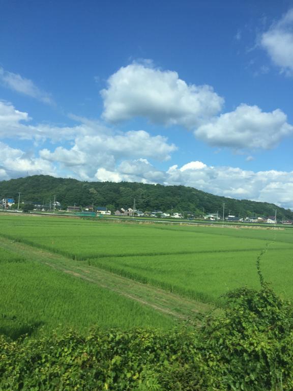 ただいも🍠｜写メ日記｜さりな｜立川・八王子・三多摩 人妻デリヘル 完熟ばなな八王子