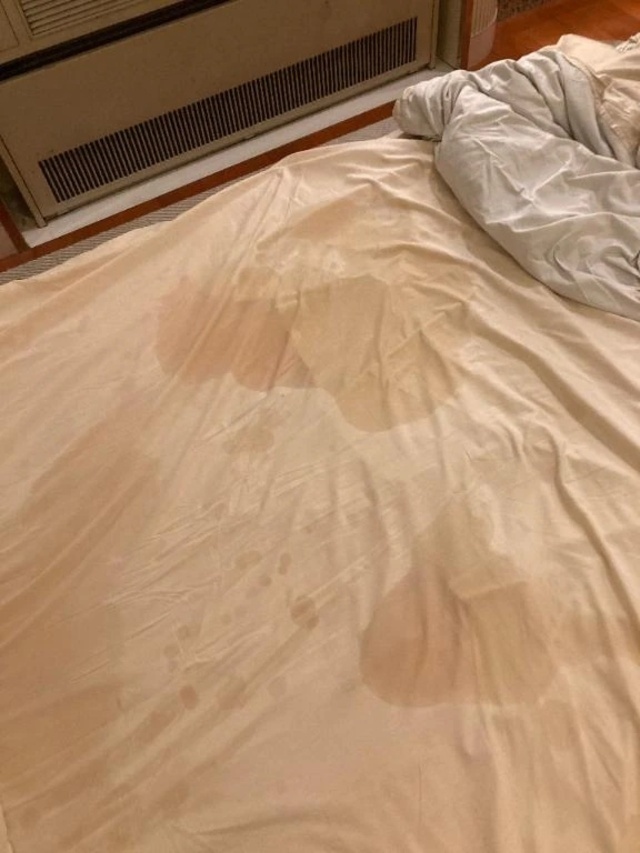 漢と女の潮⛲️｜写メ日記｜さりな｜立川・八王子・三多摩 人妻デリヘル 完熟ばなな八王子