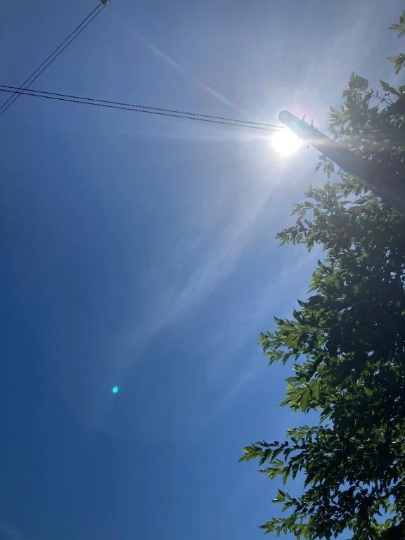 晴天🌞｜写メ日記｜さりな｜立川・八王子・三多摩 人妻デリヘル 完熟ばなな八王子