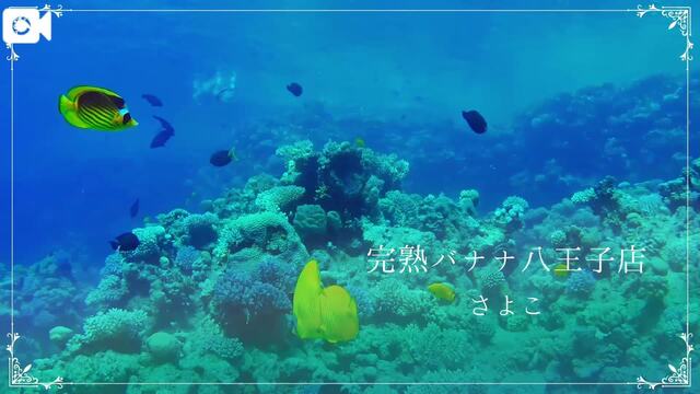 おはようございます  さよこです