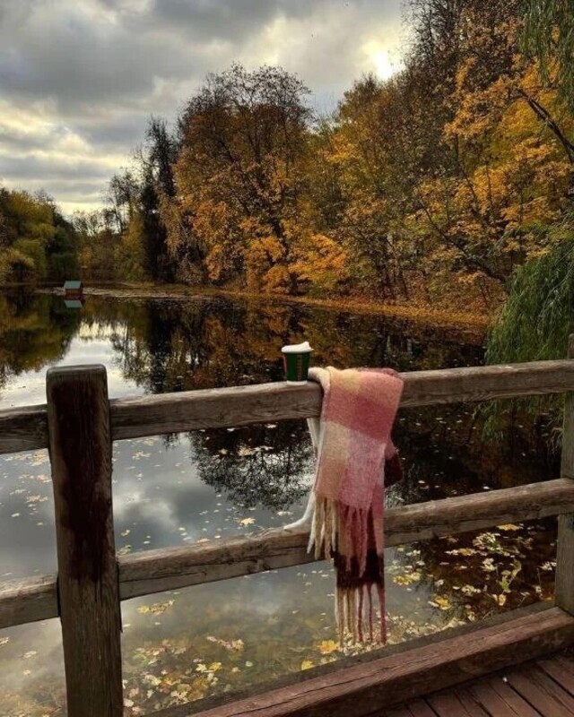 こんにちわ☀️