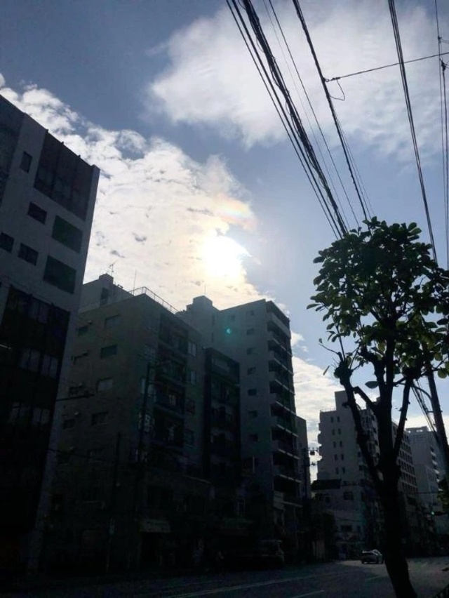 おはようございます☀️｜写メ日記｜るい｜立川・八王子・三多摩 人妻デリヘル 完熟ばなな八王子