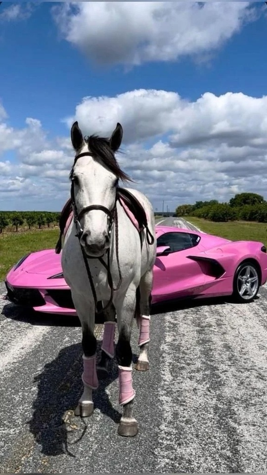 こんにちわ｜写メ日記｜るい｜立川・八王子・三多摩 人妻デリヘル 完熟ばなな八王子